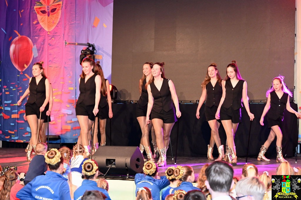 ../Images/Dansmariekefestival 2025 245.jpg